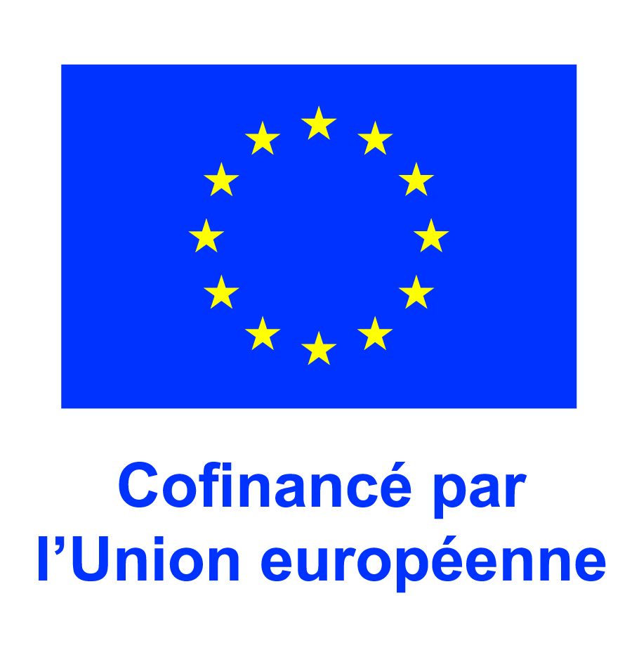 Annexe 9 - Logo européen.jpg